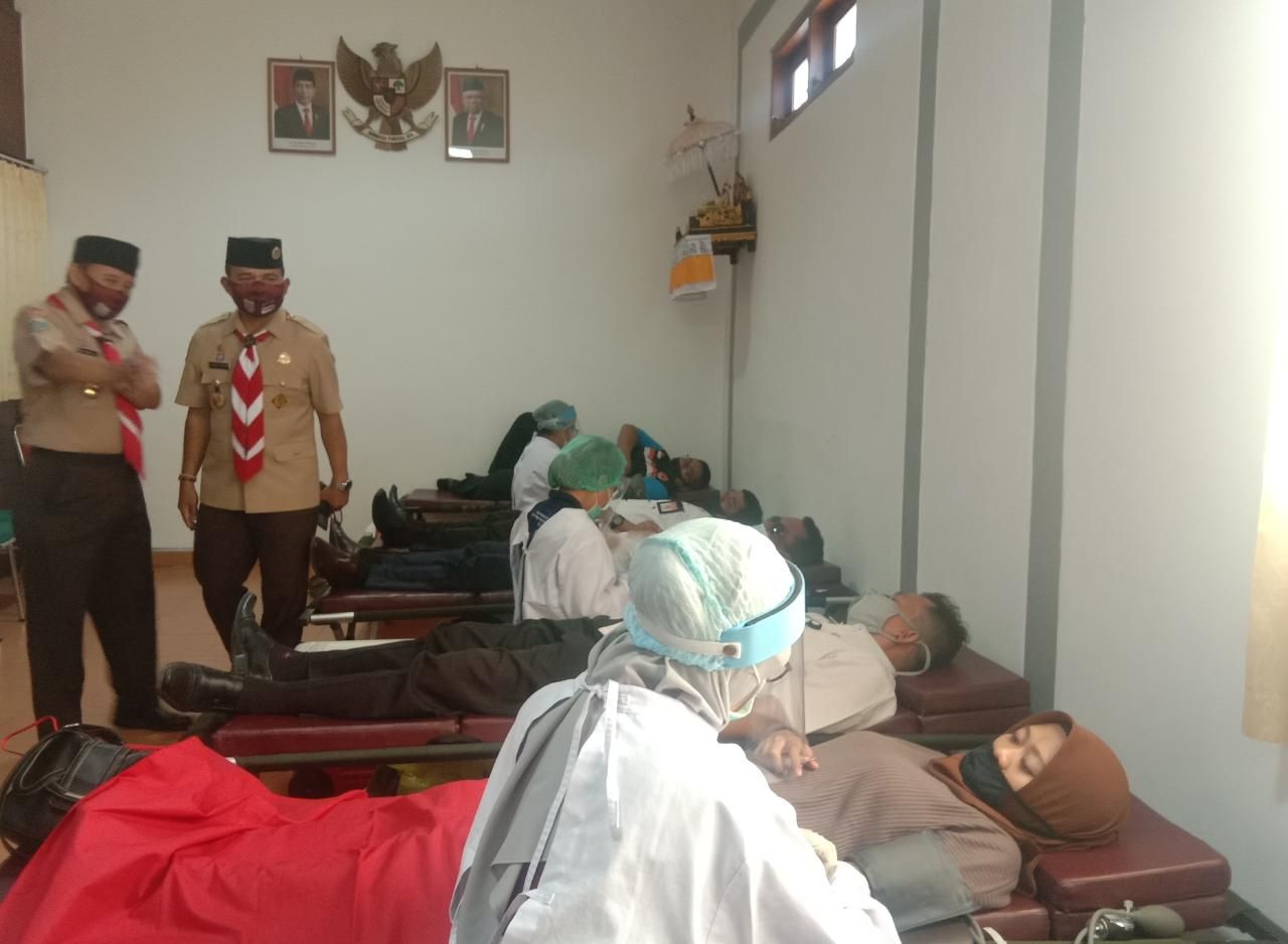 podiumnews.com-Pramuka Kwarda Bali Gelar Donor Darah 